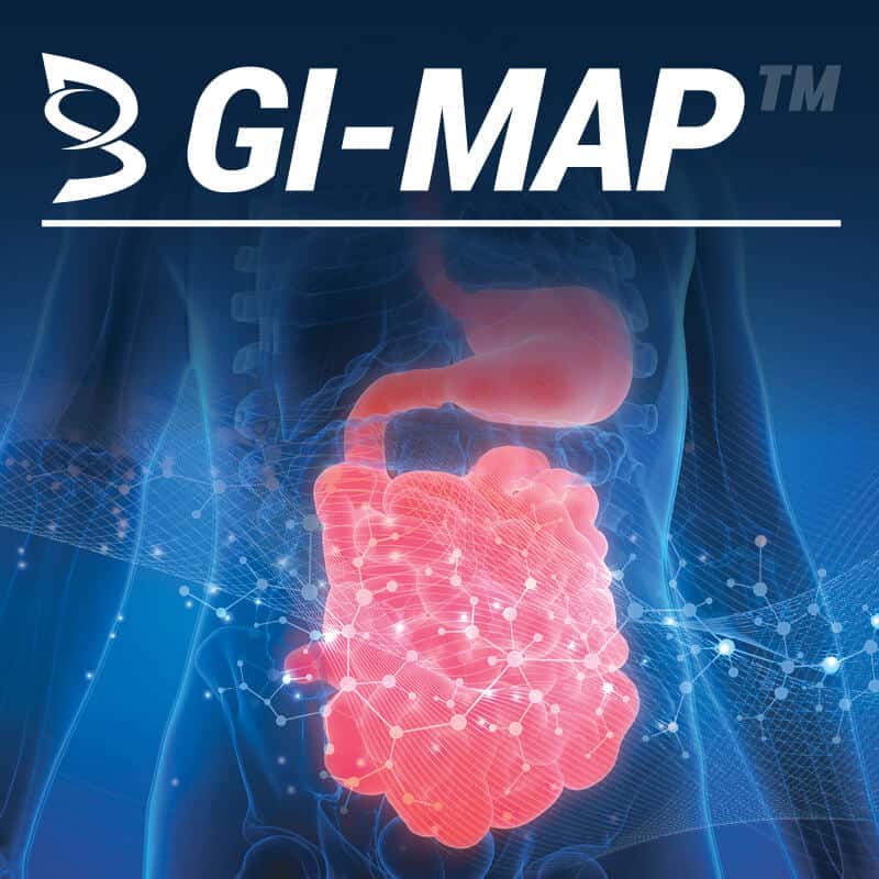 Abstract image of Bowels and Stomach supporting the associated page information on the GI-MAP™ stool test from Flora Nutrition.